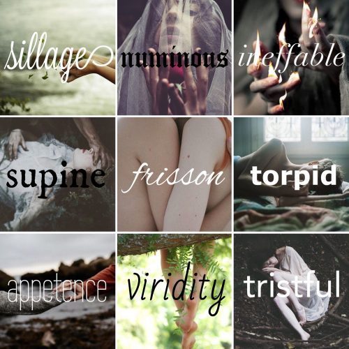 Once more, with feeling – #writebigsexywords