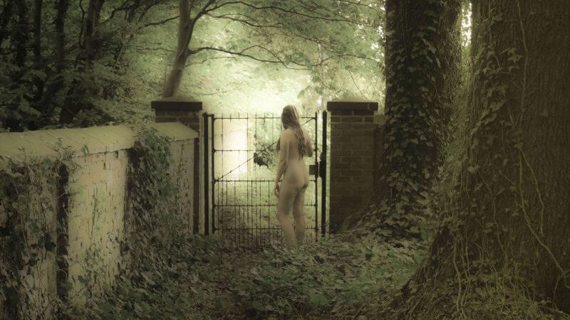 The Garden Ghost