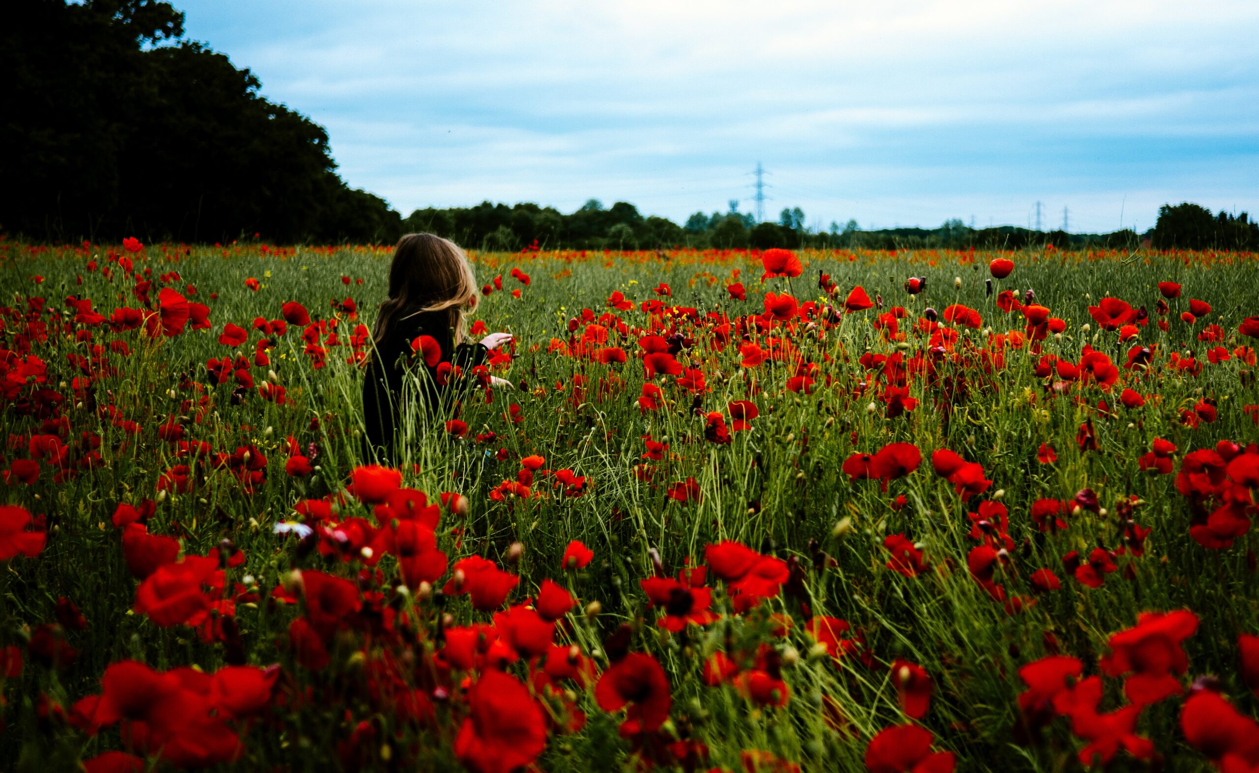 Wildflower