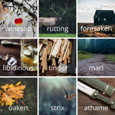 #WriteBigSexyWords – November